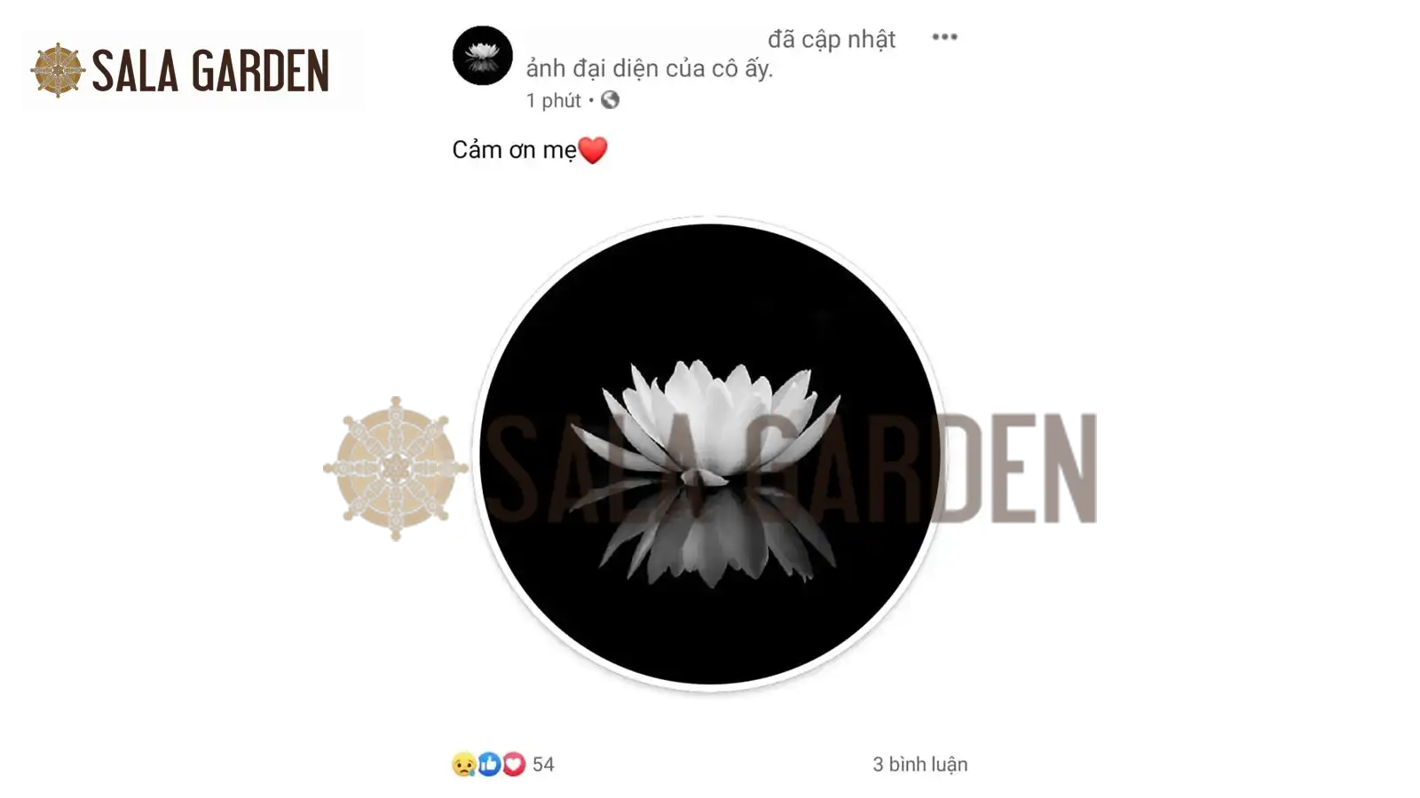 anh-dai-dien-tang-le