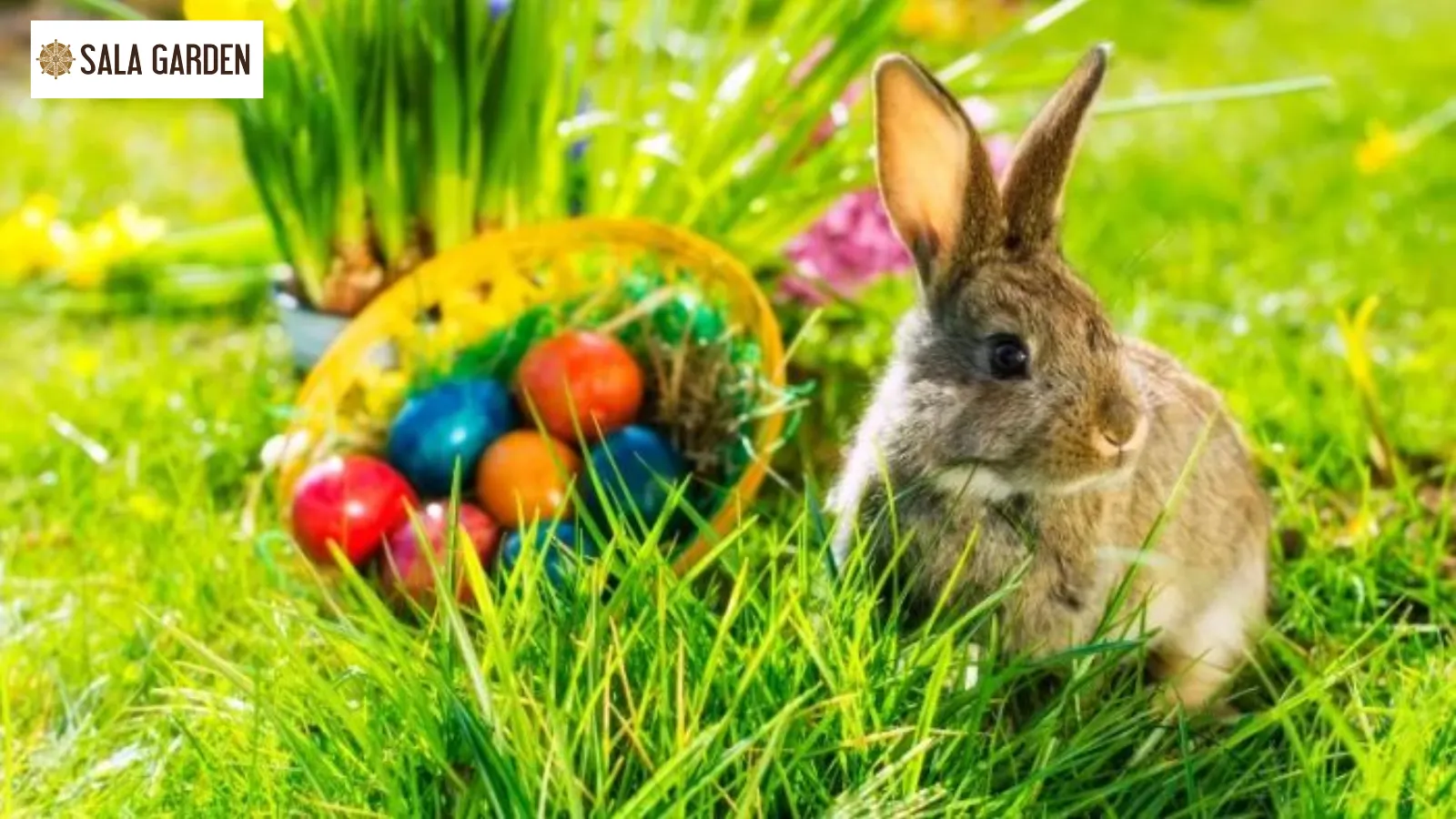 bieu-tuong-trung-tho