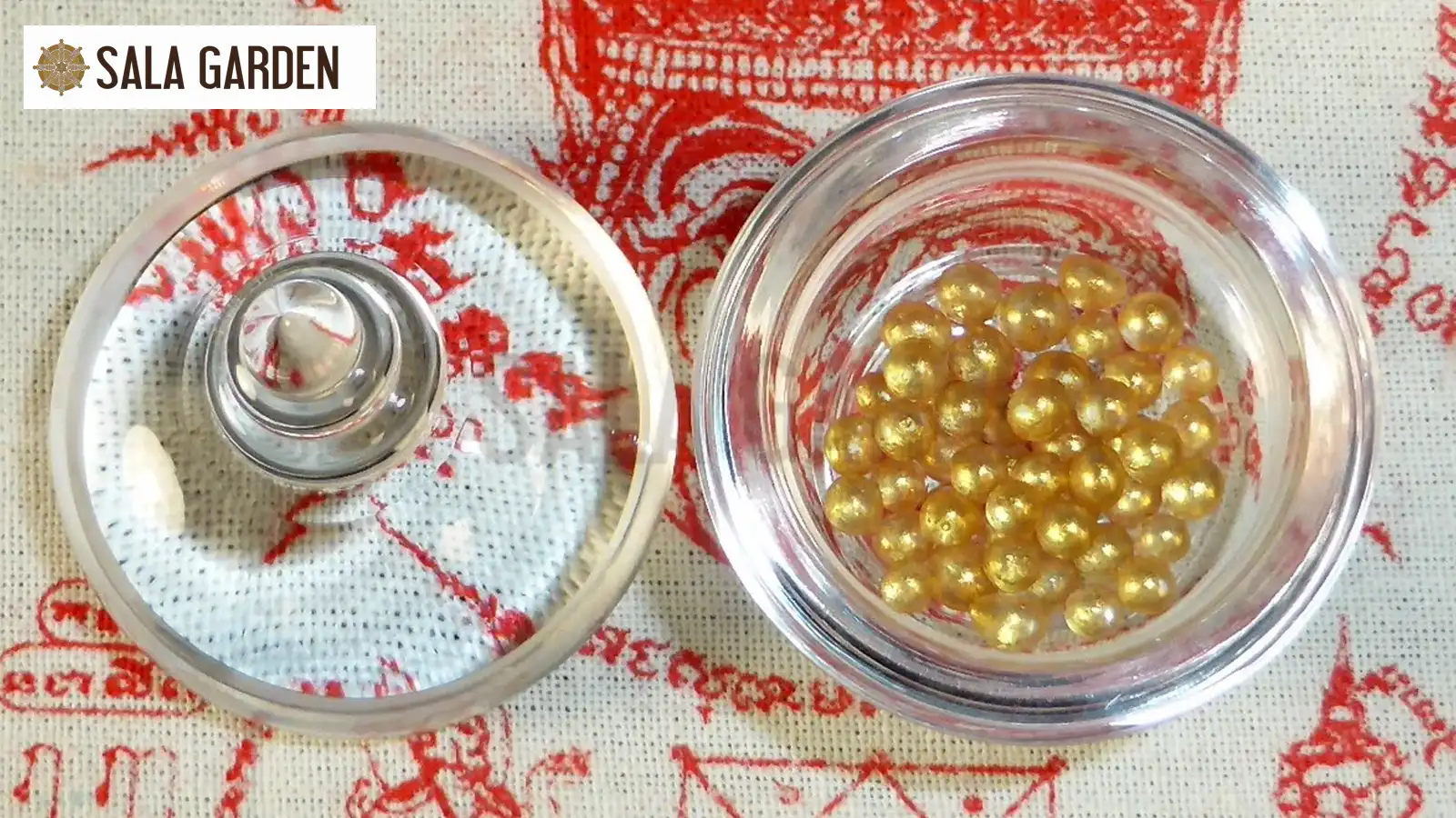 nguyen-nhan-hinh-thanh-hat-xa-loi-o-cac-vi-cao-tang