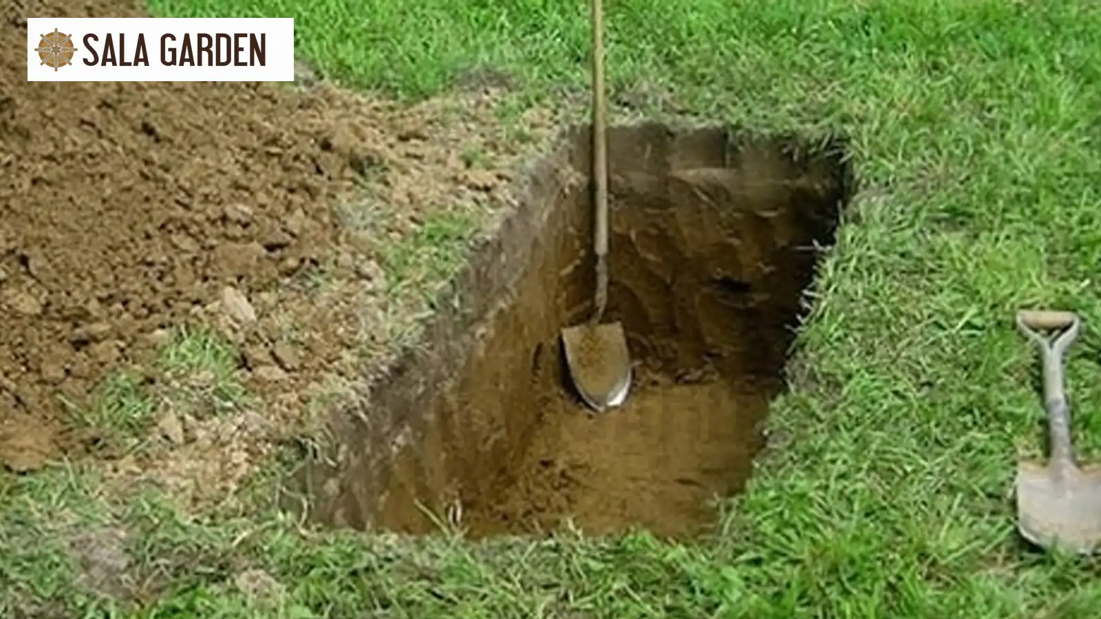 sang-cat-la-gi-va-y-nghia-tam-linh