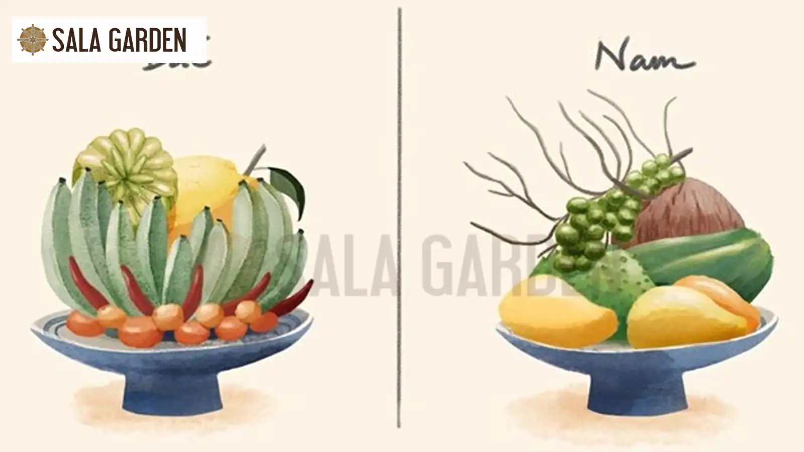 su-khac-biet-mam-ngu-qua-mien-bac-va-mien-nam