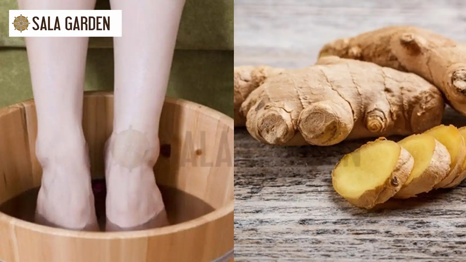 tam-nuoc-gung-xa-xui