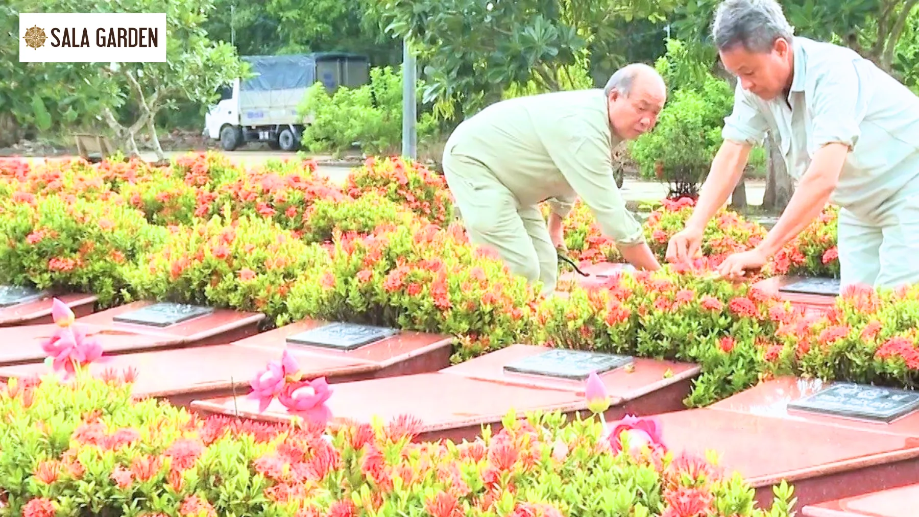 hoa-trang-nghia-trang-liet-si