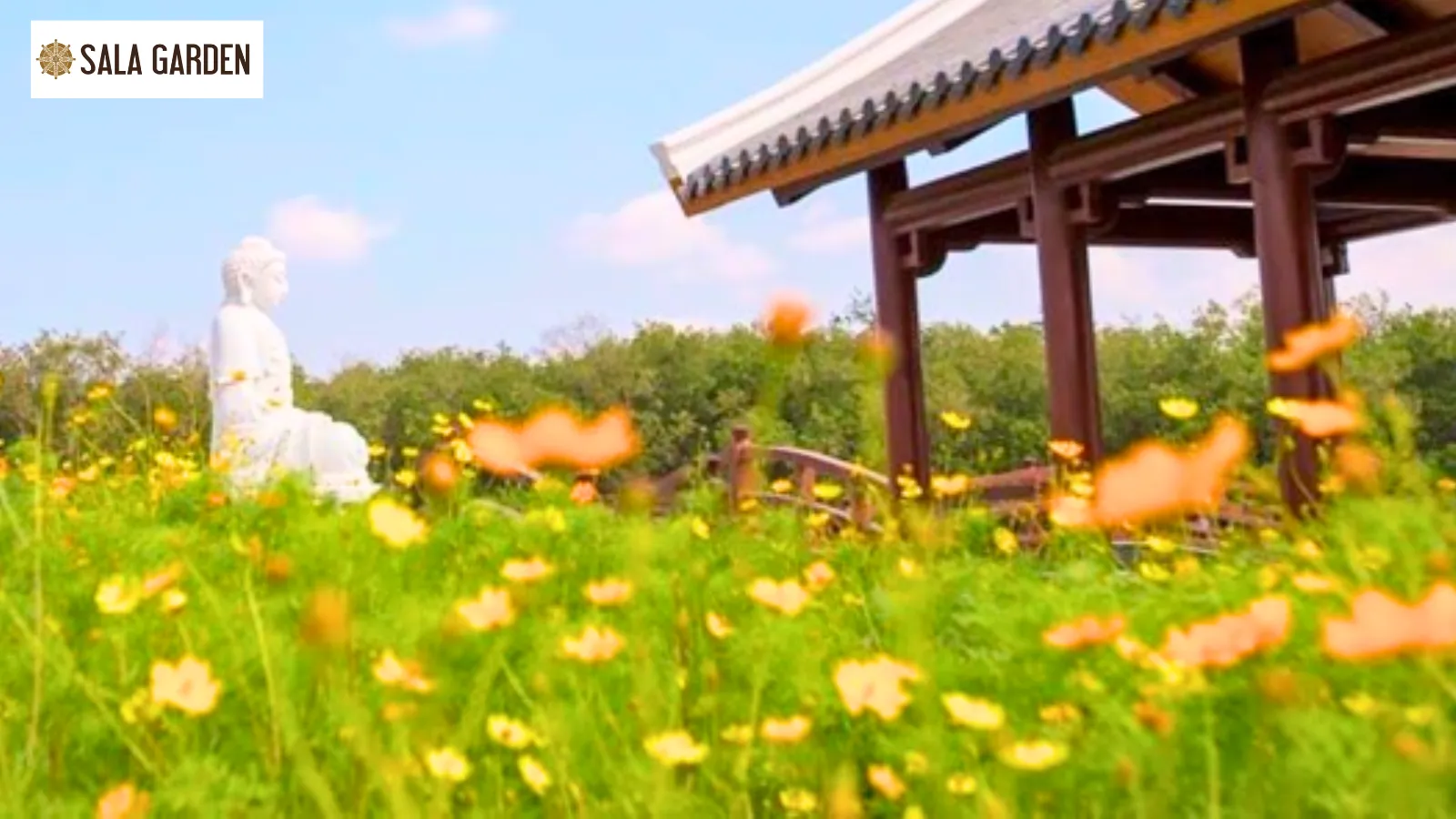 hoa-vien-sala