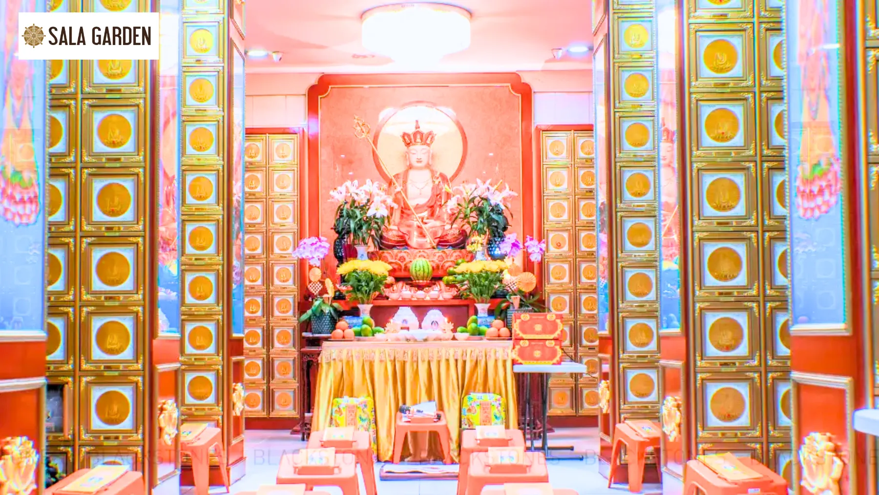 trung-tam-hoa-tang-tphcm