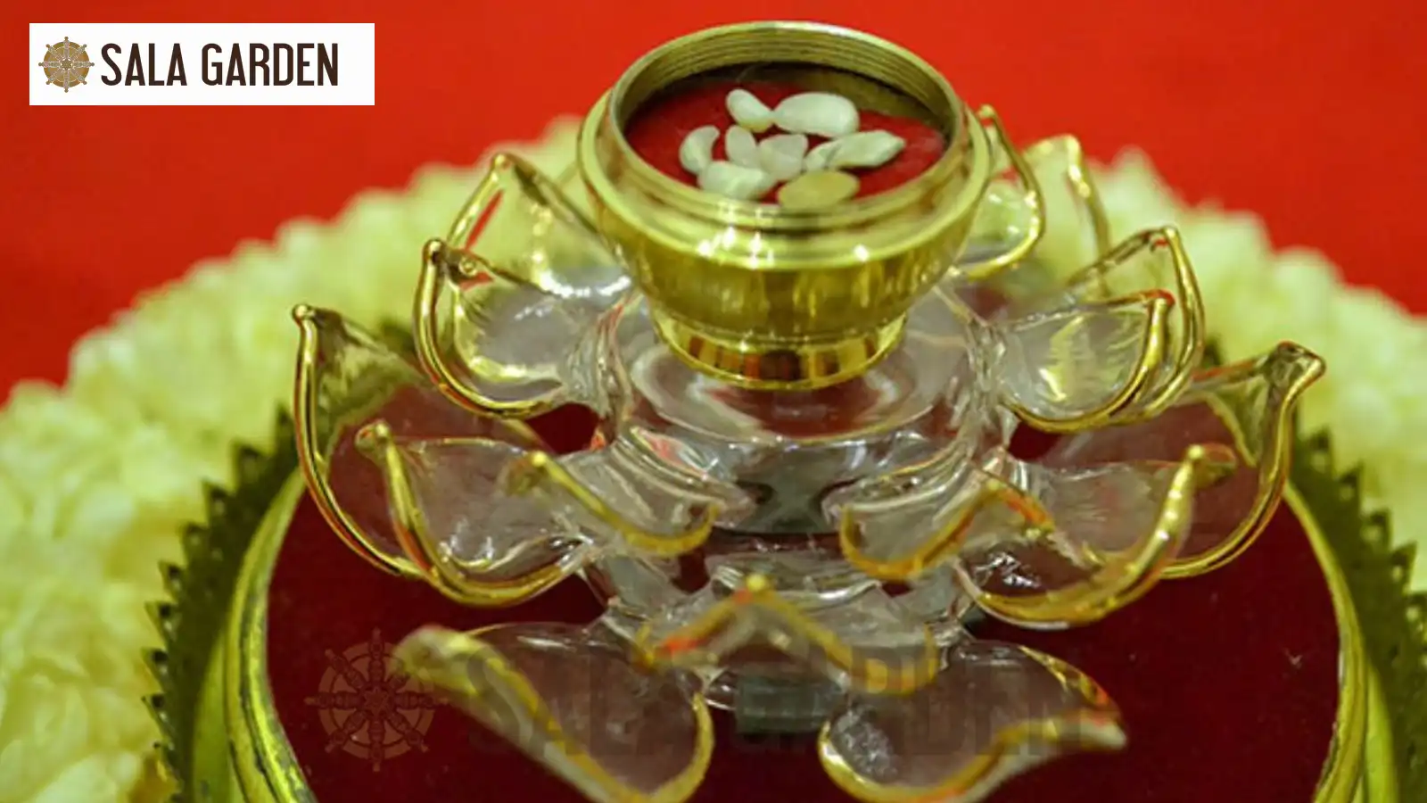 xa-loi-co-that-khong